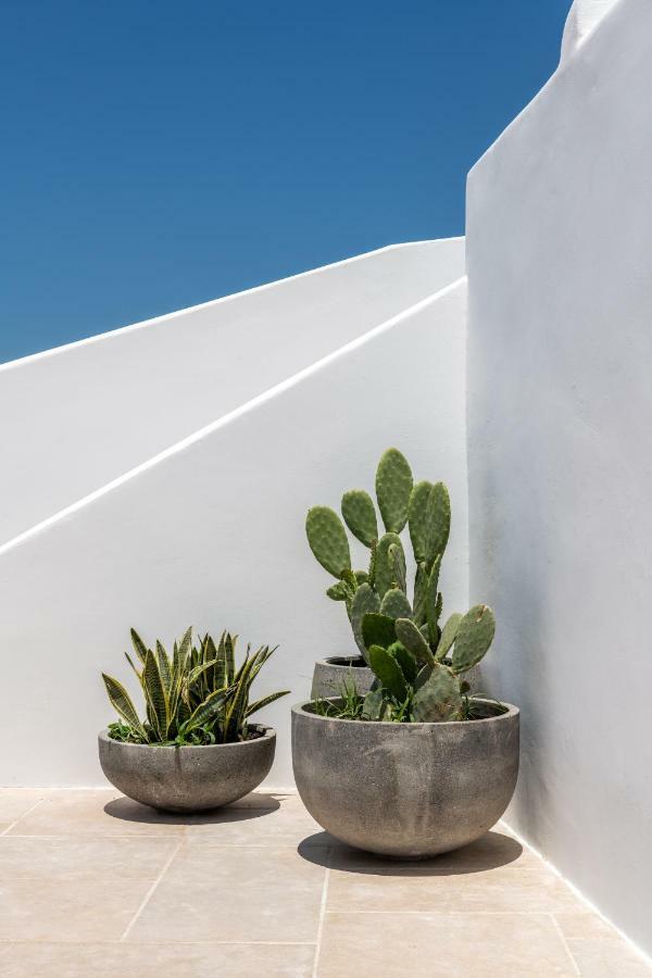 Avra Mykonos Hotel Tourlos Ngoại thất bức ảnh
